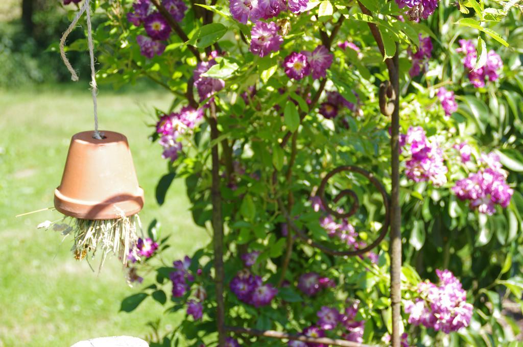 Hotel Hostellerie La Claire Fontaine, Logis Hotels & Spa La Roche-en-Ardenne
